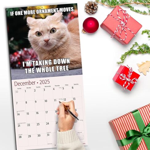 تقويم حائط RED EMBER Cat Memes 2025 لمدة 12 شهرًا | 12 بوصة × 24 بوصة مفتوح | ورق سميك وقوي | هدية | التقويم 2025 in Kuwait