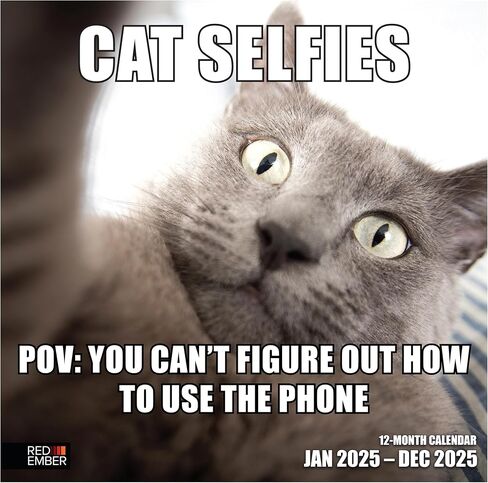 تقويم حائط RED EMBER Cat Memes 2025 لمدة 12 شهرًا | 12 بوصة × 24 بوصة مفتوح | ورق سميك وقوي | هدية | التقويم 2025 in Kuwait