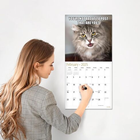 تقويم حائط RED EMBER Cat Memes 2025 لمدة 12 شهرًا | 12 بوصة × 24 بوصة مفتوح | ورق سميك وقوي | هدية | التقويم 2025 in Kuwait