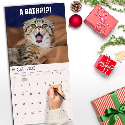 تقويم حائط RED EMBER Cat Memes 2025 لمدة 12 شهرًا | 12 بوصة × 24 بوصة مفتوح | ورق سميك وقوي | هدية | التقويم 2025 in Kuwait