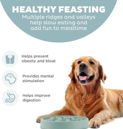 Outward Hound Fun Feeder Slo Bowl, Medium Slow Feeder Dog Bowl, 2 Cups, Sage in Saudi Arabia