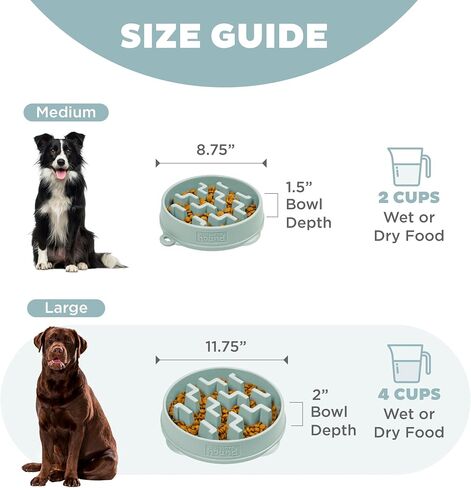 Outward Hound Fun Feeder Slo Bowl, Medium Slow Feeder Dog Bowl, 2 Cups, Sage in Saudi Arabia