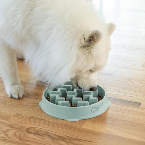 Outward Hound Fun Feeder Slo Bowl, Medium Slow Feeder Dog Bowl, 2 Cups, Sage in Saudi Arabia
