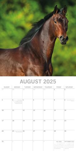 The Gifted Stationary 2025 Square Wall Calendar, Horses, 16-Month Animals Theme Hanging Calendar with 180 Reminder Stickers, Month Planner for Home, or Creative Spaces, 12x12 In in Saudi Arabia
