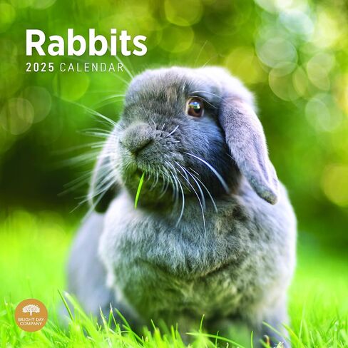 2025 Rabbits Monthly Wall Calendar by Bright Day, 12 x 12 Inch Cute Nature Photography Gift in Saudi Arabia