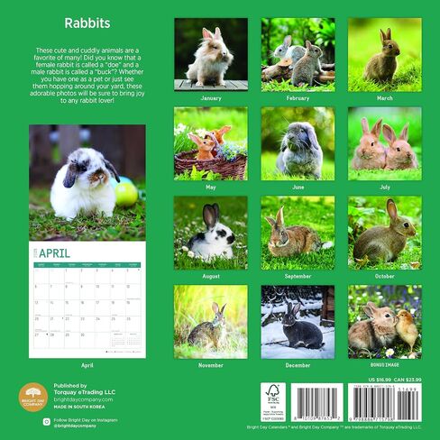 2025 Rabbits Monthly Wall Calendar by Bright Day, 12 x 12 Inch Cute Nature Photography Gift in Saudi Arabia
