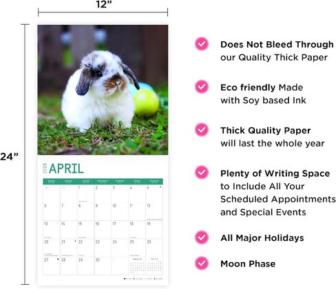 2025 Rabbits Monthly Wall Calendar by Bright Day, 12 x 12 Inch Cute Nature Photography Gift in Saudi Arabia