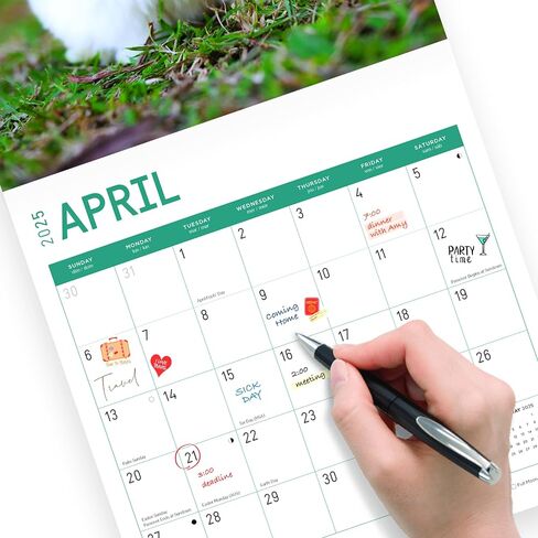 2025 Rabbits Monthly Wall Calendar by Bright Day, 12 x 12 Inch Cute Nature Photography Gift in Saudi Arabia