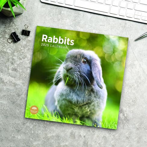 2025 Rabbits Monthly Wall Calendar by Bright Day, 12 x 12 Inch Cute Nature Photography Gift in Saudi Arabia