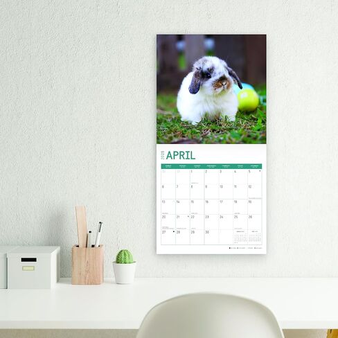 2025 Rabbits Monthly Wall Calendar by Bright Day, 12 x 12 Inch Cute Nature Photography Gift in Saudi Arabia