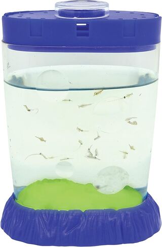 The Original Sea Monkeys - Magiquarium - Grow Your Own Pets Science Kit- Includes Eggs, Food, and Water Purifier in Kuwait