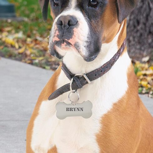 Pet ID Tags 10 Pieces Stainless Steel Silver Stamping Blanks with Hole Metal Puppy Tags 1.5" x 0.7" Bone Metal Charms in Kuwait