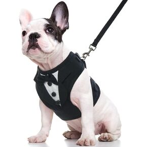 Kuoser Dog Tuxedo Harness, Adjustable Dog Harness No Pull for Small Medium Dogs, Dog Wedding Suit with Bow Tie Party Costume Green XL