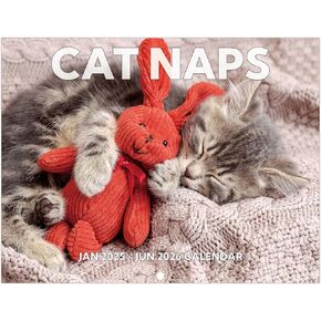 2025-2026 Calendar, Cat Naps Calendar 2025-2026 Wall. Jan 2025 - Jun 2026, 11" x 17" (Open), 18-Month Sleeping Kittens Wall Calendar, Unruled Blocks, Thick Paper, Hanging Holes, Ample Writing Space