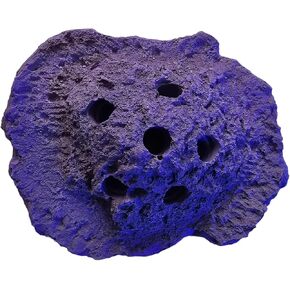 Frag Plug Island Sandbed Frag Rock - USA Reef Aquatics (White)