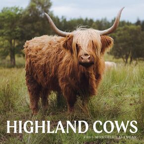 Highland Cows Calendar 2025 | 12" x 24" Animal Wall Calendar 12 Month | Marble City Press | Highlanders Scottish Cattle Isle of Skye Scotland Cute Cow | 2024-2025 Calendar