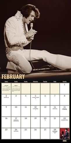 2025 Elvis Presley Wall Calendar & Push Pins in Saudi Arabia