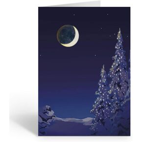 Stonehouse Collection Silent Night Christmas Holiday Card - 18 Christmas Cards & Envelopes - Winter Holiday Forest (Standard)