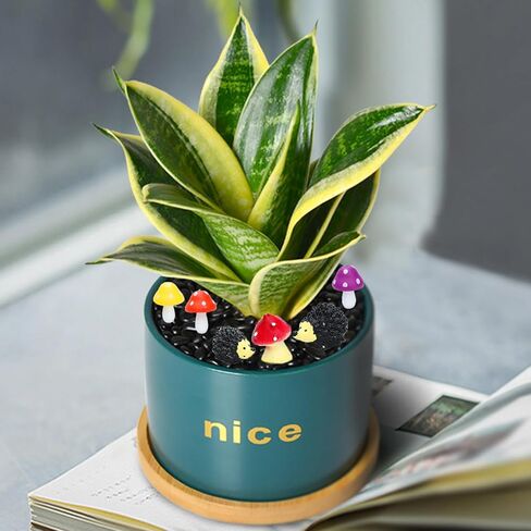 ONEST 9 Pieces Garden Miniature Accessories Mini Mini Frog Figurines Table and Chairs Micro Landscape Garden Ornament Figurines for DIY Craft Garden Decor in Kuwait