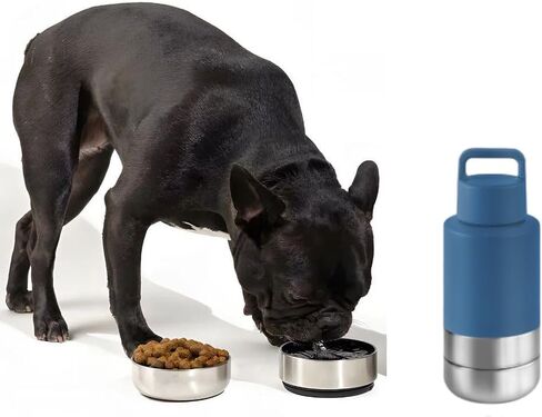 Dog Water Bottle (Orange Creamsicle, 32 oz.) in Saudi Arabia