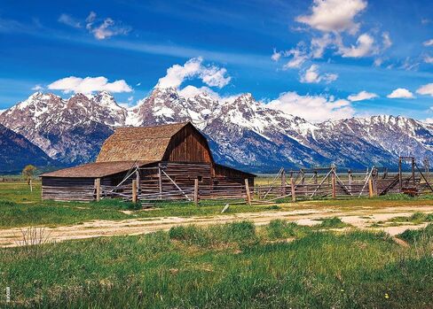 Jigsaw Puzzles for Adults 1000 Pieces Grand Teton National Park Precise Interlocking Thick Sturdy Cardboard Family Game 1000 Piece Puzzle Age 14+ in Kuwait