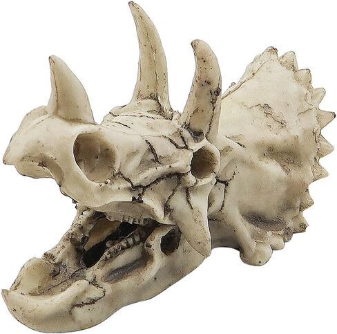 حوض السمك ديناصور الحفريات الديكور ترايسيراتوبس الجمجمة الديكور الاصطناعي ديناصور مخبأ كهف المناظر الطبيعية خزان الأسماك الديكور المناظر الطبيعية يختبئ البيت in Kuwait