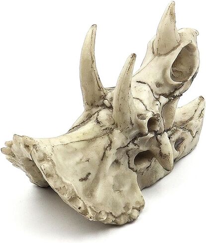 حوض السمك ديناصور الحفريات الديكور ترايسيراتوبس الجمجمة الديكور الاصطناعي ديناصور مخبأ كهف المناظر الطبيعية خزان الأسماك الديكور المناظر الطبيعية يختبئ البيت in Kuwait