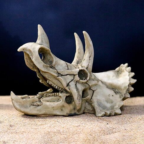 حوض السمك ديناصور الحفريات الديكور ترايسيراتوبس الجمجمة الديكور الاصطناعي ديناصور مخبأ كهف المناظر الطبيعية خزان الأسماك الديكور المناظر الطبيعية يختبئ البيت in Kuwait