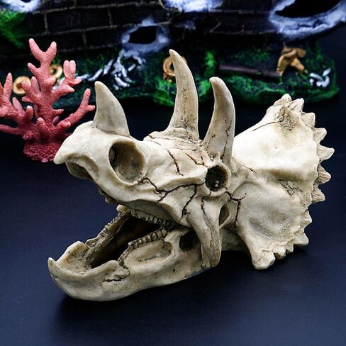 حوض السمك ديناصور الحفريات الديكور ترايسيراتوبس الجمجمة الديكور الاصطناعي ديناصور مخبأ كهف المناظر الطبيعية خزان الأسماك الديكور المناظر الطبيعية يختبئ البيت in Kuwait
