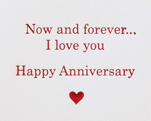 Papyrus Anniversary Card for Wife (This Incredible Life) in Saudi Arabia