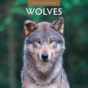 Red Robin 2025 Wolves Monthly Wall Calendar | 12" x 24" Open | Premium Thick & Sturdy Paper | Hangable 12 Month Calendar | Plastic Free | 4 Month Transition Page for 2024