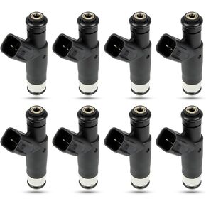 8 Pcs Fuel Injectors Compatible with 2004-2008 Ford F150 E150 E250 Lobo Explorer Mercury Mountaineer 4.6L Only Replace part# 4L3E-B4C FJ867 04861238AB
