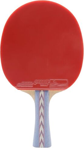 DHS Ping Pong Paddles Professional Table Tennis Racket with Carrying Case - ITTF Approved Rubber for Tournament Play in Saudi Arabia