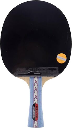 DHS Ping Pong Paddles Professional Table Tennis Racket with Carrying Case - ITTF Approved Rubber for Tournament Play in Saudi Arabia