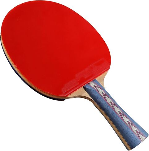 DHS Ping Pong Paddles Professional Table Tennis Racket with Carrying Case - ITTF Approved Rubber for Tournament Play in Saudi Arabia
