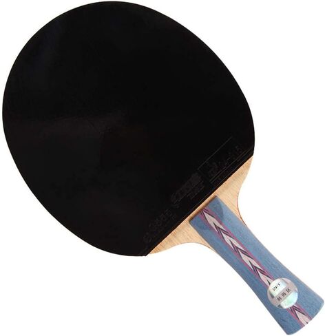 DHS Ping Pong Paddles Professional Table Tennis Racket with Carrying Case - ITTF Approved Rubber for Tournament Play in Saudi Arabia
