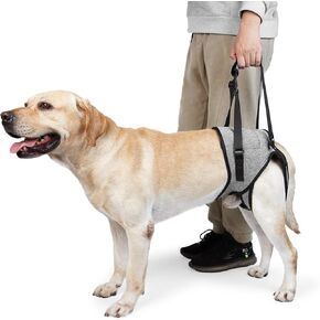 Dog Leg Support for Back Legs, Adjustable Lift Harness for Dog, Breathable Dog Sling for Rear Legs Grey X-Large