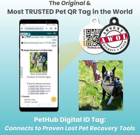 QR Code Pet ID Tag for Dogs and Cats with Online Free Pet Profile, Privacy Control & Unlimited Emergency Contacts, Size Large Absent Without a Leash in Saudi Arabia