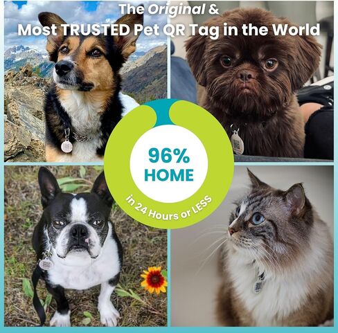 QR Code Pet ID Tag for Dogs and Cats with Online Free Pet Profile, Privacy Control & Unlimited Emergency Contacts, Size Large Absent Without a Leash in Saudi Arabia