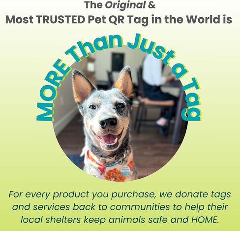 QR Code Pet ID Tag for Dogs and Cats with Online Free Pet Profile, Privacy Control & Unlimited Emergency Contacts, Size Large Absent Without a Leash in Saudi Arabia