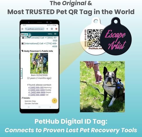 QR Code Pet ID Tag for Dogs and Cats with Online Free Pet Profile, Privacy Control & Unlimited Emergency Contacts, Size Large Absent Without a Leash in Saudi Arabia
