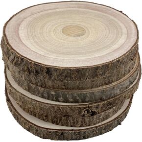 Unfinished Wood Slices, 6 Piece Set, Round Wood Discs for DIY Crafts, Wedding Decor, Centerpieces, Door Sign Decor (8-9 Inches)