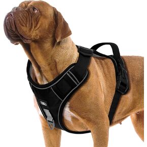 ETACCU Dog Harness for Medium Size Dogs, No Pull Dog Harness with Handle, Front Clip Reflective No-Choke Adjustable Dog Chest Harness with 2 Clips 2 Buckles, Dog Vest Harness, M