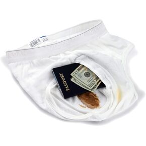The Brief Safe Hidden Contents Travel Passport Wallet - Diversion Safe,White,Regular