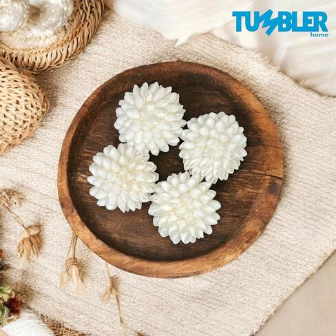 كرات ديكور من الصدف الحقيقي من Tumbler Home - عرض 7.62 سم ​​- حشو أوعية تزيين للديكور الساحلي - ديكور منزل الشاطئ - عبوتان in Kuwait