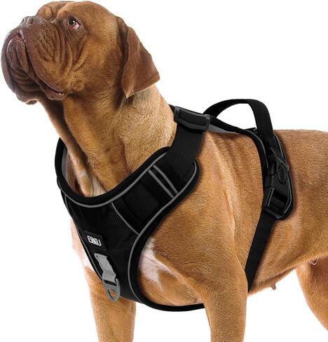 ETACCU Dog Harness for Medium Size Dogs, No Pull Dog Harness with Handle, Front Clip Reflective No-Choke Adjustable Dog Chest Harness with 2 Clips 2 Buckles, Dog Vest Harness, M in Saudi Arabia