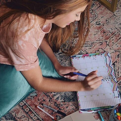 منظم ميزانية لمدة 12 شهرًا، منظم تعقب الفواتير مع تقويم وجيوب للإدارة المالية، 354 ملصقًا | الميزانية الموثق ™ in Kuwait