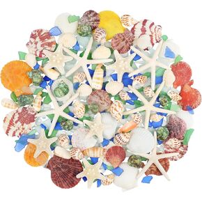 Fangoo Beach Seashells Natural Starfish Conch Mixed with 7oz Sea Glass Pieces for Crafts Beach Themed Party DIY Crafts Fishtank Vase Fillers Candle Making Home Coastal Wedding Decorations
