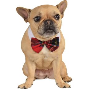 Rubies Red Plaid Pet Christmas Bowtie, Medium/Large