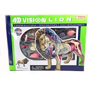 نموذج تشريح الأسد 4D Vision - جودة طبية يمكن تجميعها مع أعضاء وأجزاء الجسم قابلة للفصل بالكامل